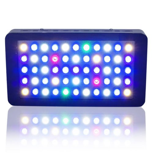 2 Pack 165W LED Aquarium Light Dimmable Full Spectrum Coral Tank Light Bulb Buy Online 