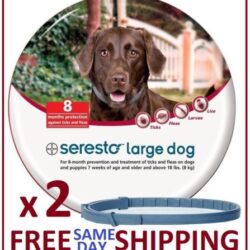 2 x Seresto Flea & Tick Collar for Large Dogs (over 18lbs) Buy Online 