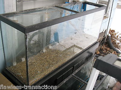 62% OFF - 55-gallon GLASS Aquarium - Small Pet / Reptile / Fish Tank - Pro Grade Buy Online 