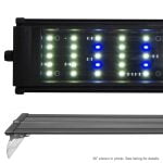 Beamswork DA 6500K LED Aquarium Light 0.50W Freshwater Plant 24 30 36 48 72 Buy Online 