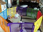 Big 8 Panel Wide Super Playpen Play Yard Baby Pet Dog Enclosure Gate Large Pen Buy Online 