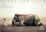 Boy Reading with Elephant Collectable Poster Print by Gregory Colbert, 51x35... Buy Online 