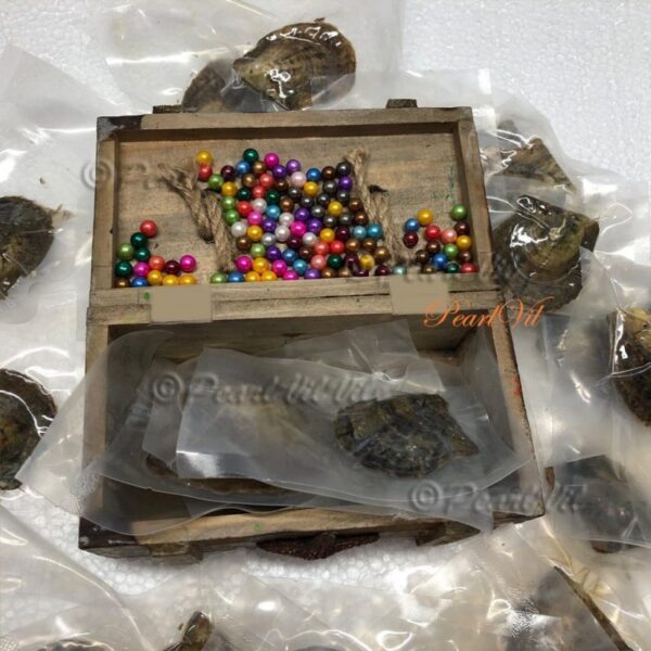 Bulk Akoya Oysters with 6-7mm Round Pearls - Located USA Buy Online 