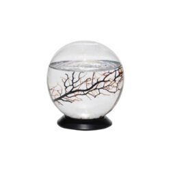 EcoSphere® Sphere With Turntable Base Aquarium - M Buy Online 