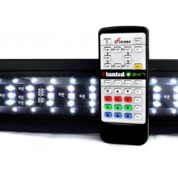 FINNEX - 48" PLANTED+ 24/7 AUTOMATED FRESHWATER LED Buy Online 