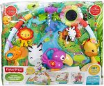 FISHER PRICE RAINFOREST MUSIC & LIGHTS DELUXE GYM NEW IN PACKAGE DFP08 Buy Online 