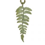 Fern 30" Long Necklace by Michael Michaud 9075 Buy Online 