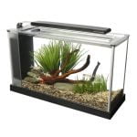 Fluval 5 Gallon Spec V Aquarium Kit, Black Buy Online 