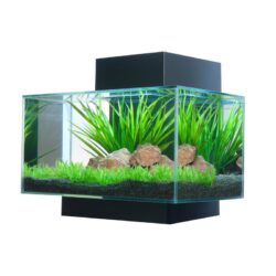 Fluval 6 Gallon Edge Aquarium 21 LED, Black Buy Online 