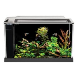 Fluval Spec V Aquarium 5 gallon  black  Desktop Glass Aquarium Buy Online 