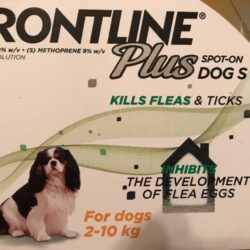 Frontline Plus 6 Months Supply For Small Dogs 0-22lbs *Authentic Hologram* Buy Online 