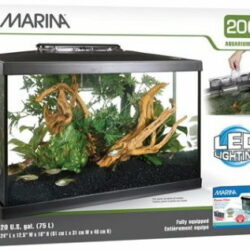 Marina LED Glass Aquarium Kit 20 Gallon Fish Tank Buy Online 
