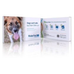 Mars Veterinary Wisdom Panel 3.0 Canine DNA Test Dog Breed Identification ID Kit Buy Online 
