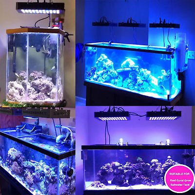 MarsAqua Dimmable 165W LED Aquarium Light Full Spectrum Reef Marine Coral Lamp Buy Online 