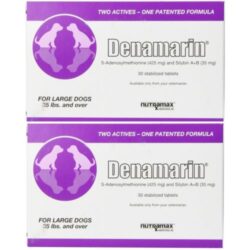 Nutramax Denamarin Tablets 425 mg Large Dog - 30ct (2pack 60Tablets) Buy Online 