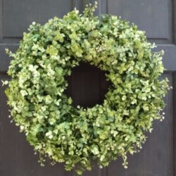 Year Round Faux Boxwood & Eucalyptus Wreath;All Season Greenery Front Door Decor Buy Online 