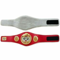 IBF Boxing Championship replica belt adult size metal plates Buy Online 