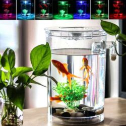 Creative Ecology Mini LED Fish Tank Luminous Glass Tank Aquarium Fish Tank Buy Online 