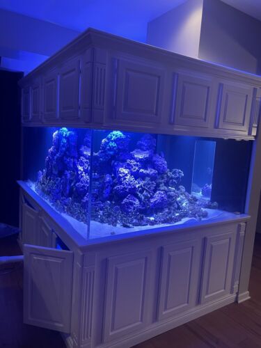 300+ Aquarium and stand Custom Build, Read Description! Buy Online 