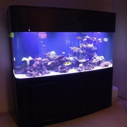 WARRANTY INCLUDED! 300 gallon GLASS bow front aquarium fish tank set Buy Online 