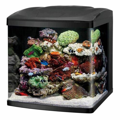 32 Gallon BioCube Aquarium w/LED Kit (Tank & Stand) - Coralife Buy Online 