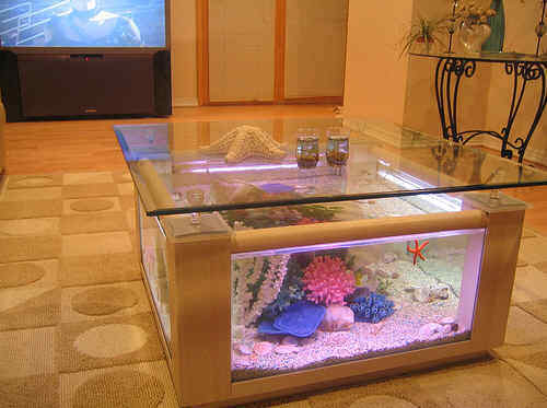 WARRANTY INCLUDED! 68 gallon GLASS rectangular square table aquarium fish tank Buy Online 