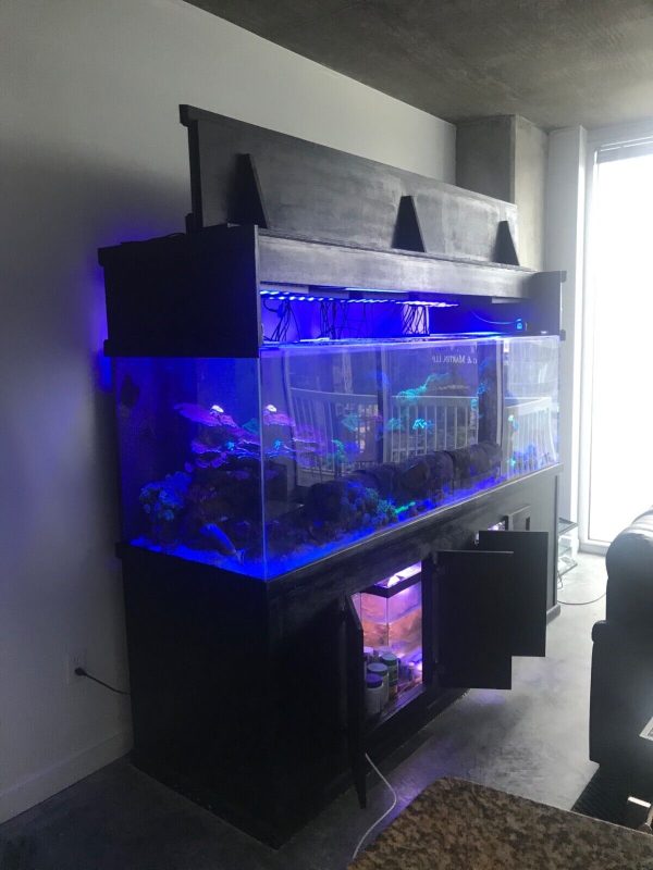300+ Gallon Acrylic aquarium build(after order placed) standard or custom.  Buy Online 