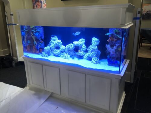 300+ Aquarium and stand Custom Build, Read Description! Buy Online 