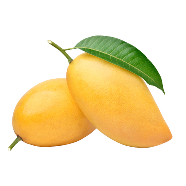 Chaunsa Mango | чаунса манго. CALL: +7 701 726 9247 Buy Online 